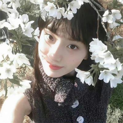小偷家族配图